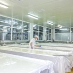 Производство на млечни продукти | Мандра Село Лесидрен